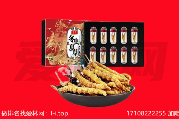 新密市回收虫草.jpg